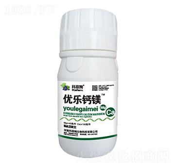 ��(y��u)���}�V-�Ʒ�ķ