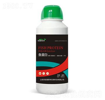 �~����-���S˹�طʘI(y��)