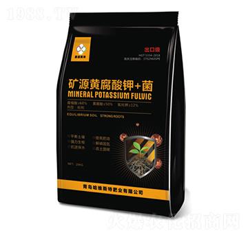 �VԴ�S�����+��-���S˹�طʘI(y��)