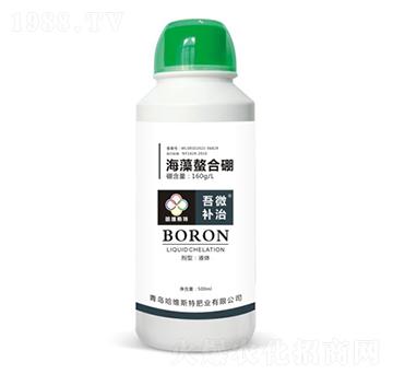 ����������-��΢�a(b��)��-���S˹�طʘI(y��)