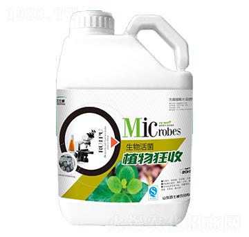 ֲ�����-��ʿ��