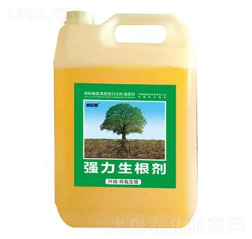 Ǥ�塤������������������-�ֱ�ķ-�T�ַ���