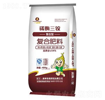 �����͏�(f��)�Ϸ���18-1