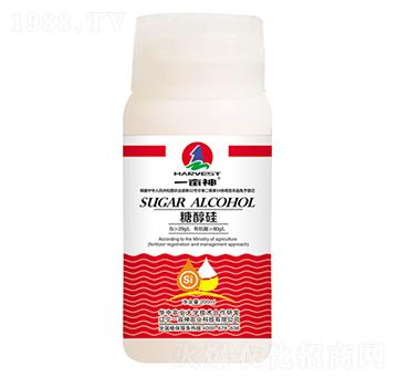 �Ǵ���-һ����