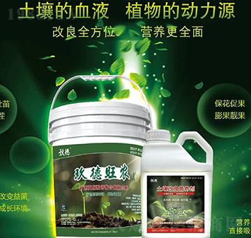 �������r(n��ng)+���������I�B(y��ng)��-������