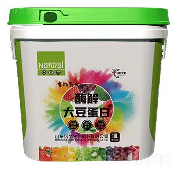 ø��󶹵���-�Z������