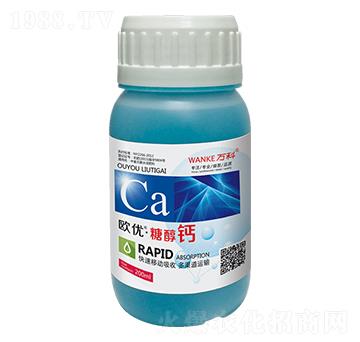 �W��(y��u)���Ǵ��}-�f(w��n)��