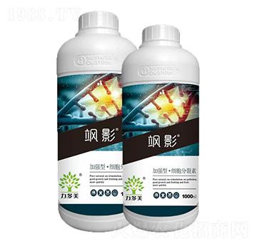 �ӏ�(qi��ng)�͡���(x��)��������-�SӰ-�r(n��ng)ʥ��