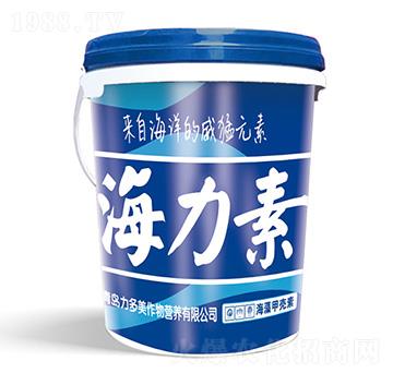 ������-������-�rʥ��