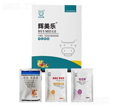 ��ù�������߲������˲��ײ�-�x����-���A����