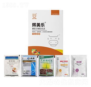 ���������o�����������ݲ�����ή���ײ�-�x����-���A����