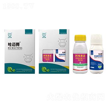 ���~�v���x�ײ�-���A����