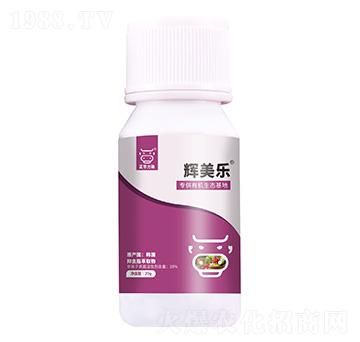 ���x֬��ȡ��-�x����-���A����