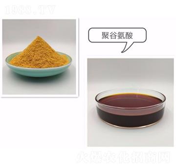 �۹Ȱ���-�����_