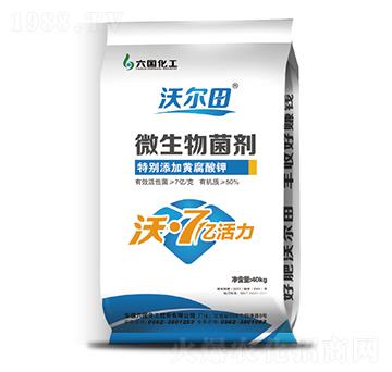 ΢�������-�֠���-��������