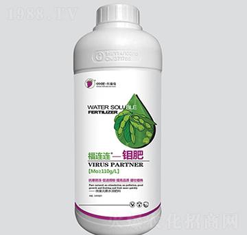 ���B�B�f��-�t����