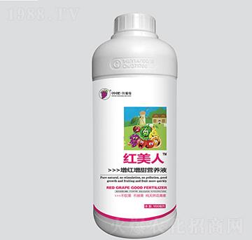 �t�������t����I�B(y��ng)Һ-�t����