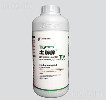 �������o�������a�I�B(y��ng)-�t����