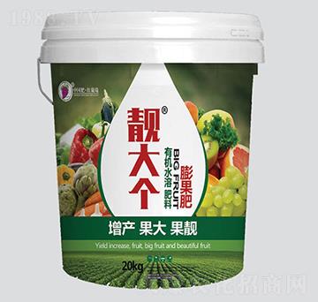 �n��(g��)�����-�t����