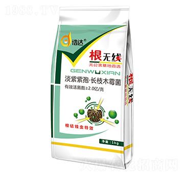 �������ߡ��L��ľù��-���o��-���_(d��)����