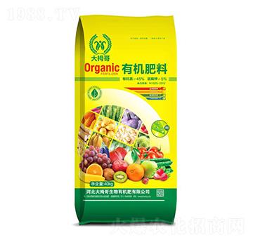 �ЙC����-��Ĵ��