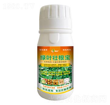 �߲˾G�~�Ѹ���-���_����