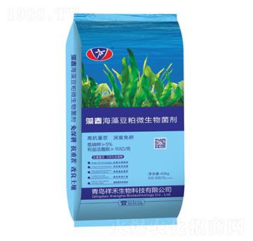 �崺���嶹��΢�������-�������