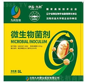 5L΢�������-����