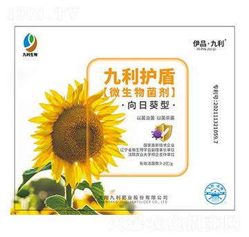 ���տ���΢�������-����