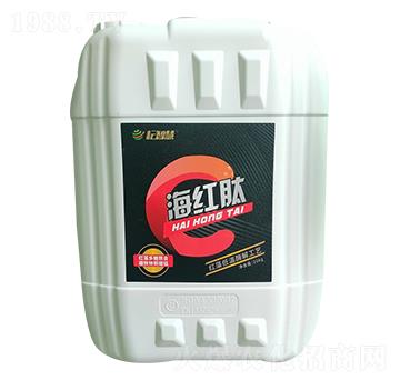 ���t�������-���ǻ�