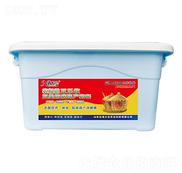 ������I(y��ng)�B(y��ng)�M��-�r(n��ng)��˼��������-�ƺ���