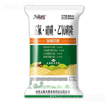 ��������ǡ�������¡���Y����ˎ��-�ƺ���