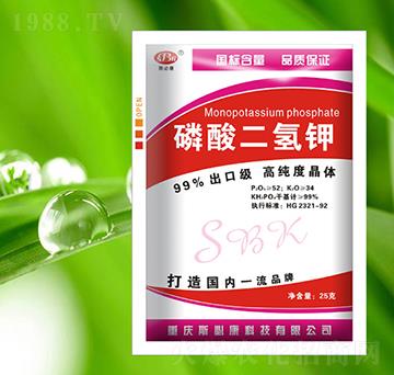 ��������-˹�ؿ�