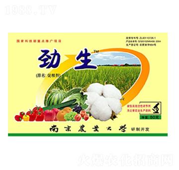 �����ٸ���-���r�߿�