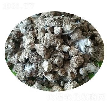 С�u�S-ʥ������