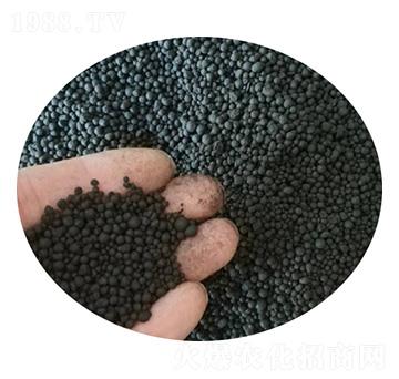 �����w����-ʥ������