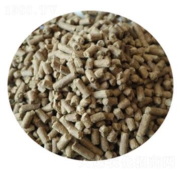 ΢�������-ʥ������