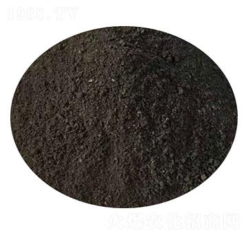 �u�S-ʥ������