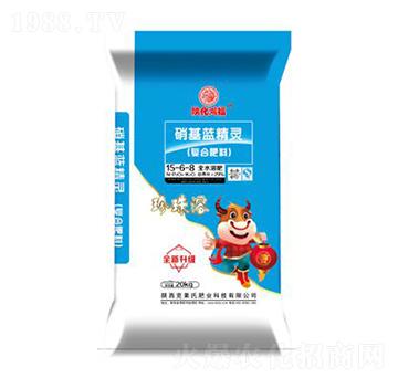 �����{���`15-6-8-���R��