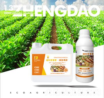 ���o��(zhu��n)��ֲ��I(y��ng)�B(y��ng)��-��������