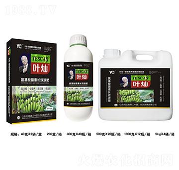 �㽶����������LЧҺ��-�~�N-�»�