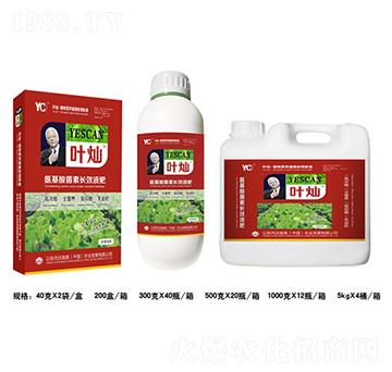 �~�˰���������L(zh��ng)ЧҺ��-�~�N-�»�