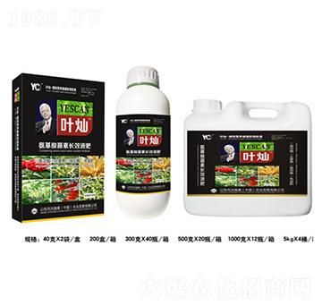 ��ˎ�Č�(zhu��n)�ð���������L(zh��ng)ЧҺ��-�~�N-�»�