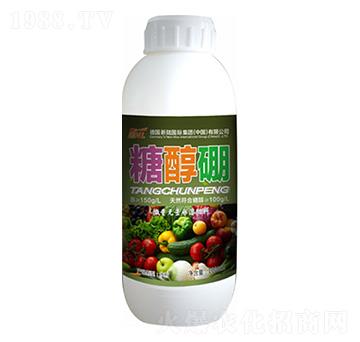 �Ǵ���-�»�