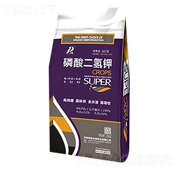 ��������-���(y��ng)����