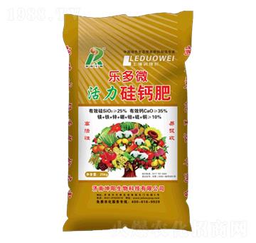 ����΢�������}��-�������