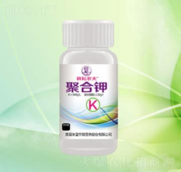 �ۺ��-�����r��