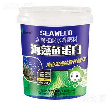 �����~����-�݃|�r