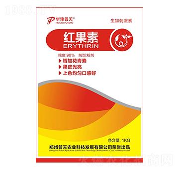 �t����-�����r(n��ng)�I(y��)