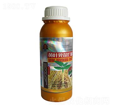 �S�~���砀��-(li��n)�ջ��W(xu��)